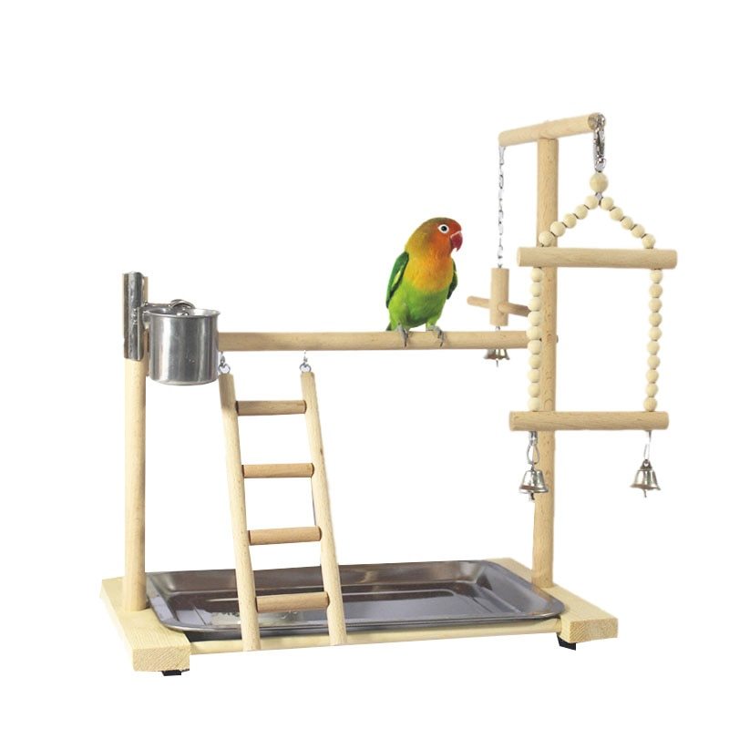 Cockatiel Floor Parrot Standing Stand