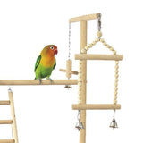 Cockatiel Floor Parrot Standing Stand