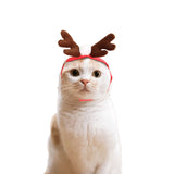 Christmas Cloak Halloween Disguise Cat