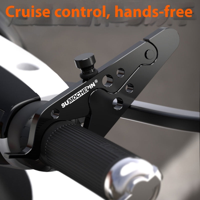 Electric Motorcycle Cruise Control