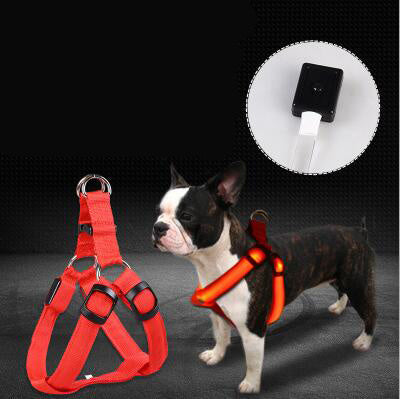 Chest Strap Luminous Dog Leash