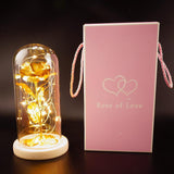 Enchanted Forever Rose Flower in Glass LED Light