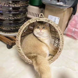 Pet Cat Litter Round Hanging Basket